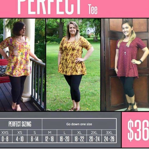 Lularoe Perfect Tee - Picture 4 of 4